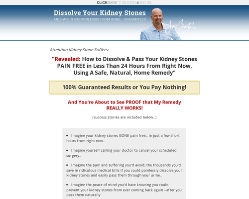 The Kidney Stone Remedy